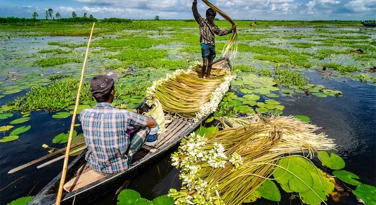 আড়িয়াল বিল মুন্সীগঞ্জ