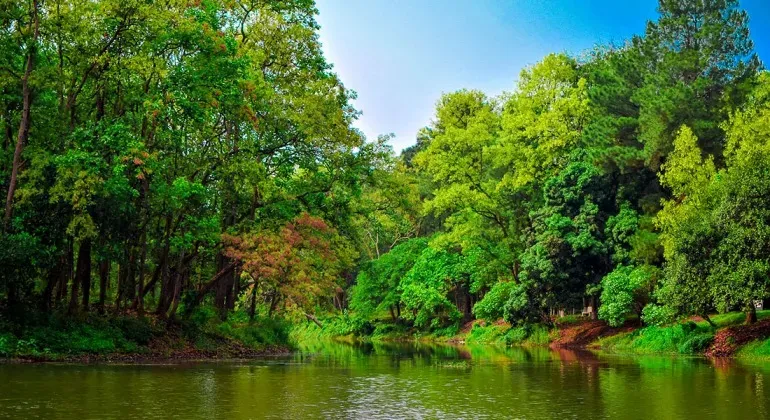 Bhawal National Park Gazipur