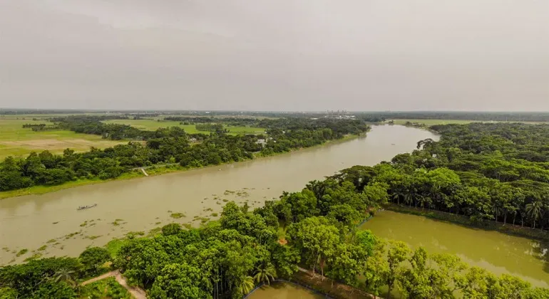 বিল রুট ক্যানেল গোপালগঞ্জ