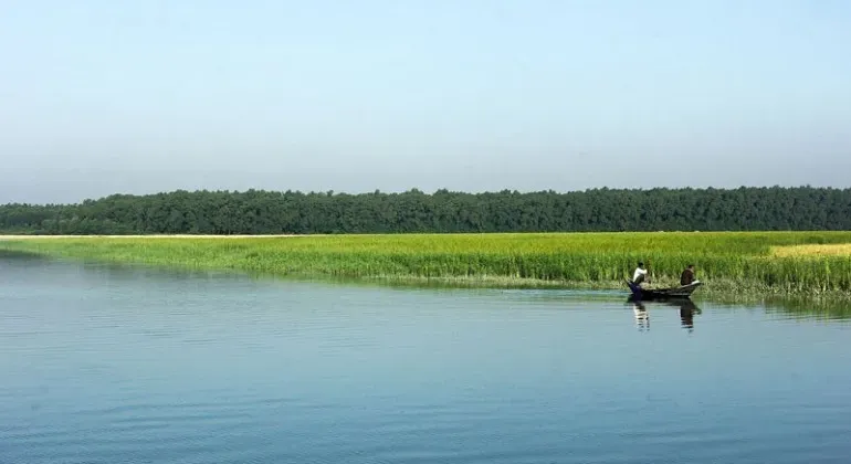 চর কুকরি মুকরি