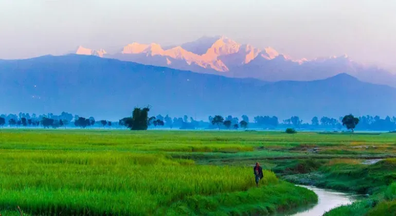 Kanchenjunga From Tetulia