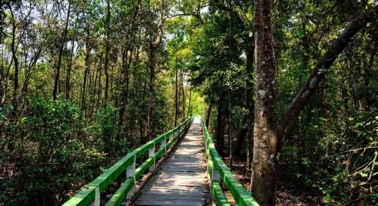 Karamjal Sundarban