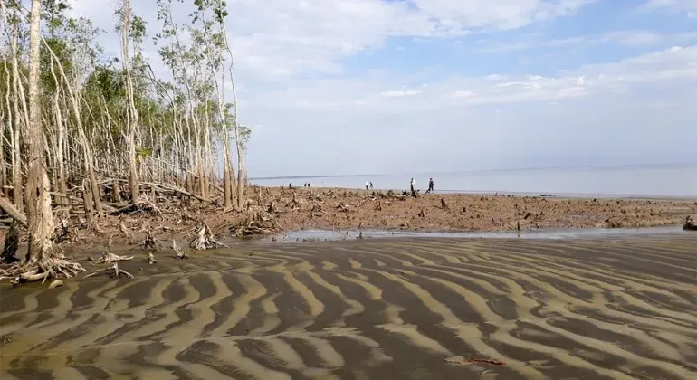 Kochikhali Sea Beach Bagerhat