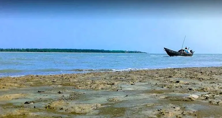 Laldiya Forest Sea Beach Barguna