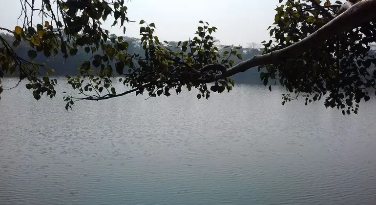 Mohisar Digumbori Dighi