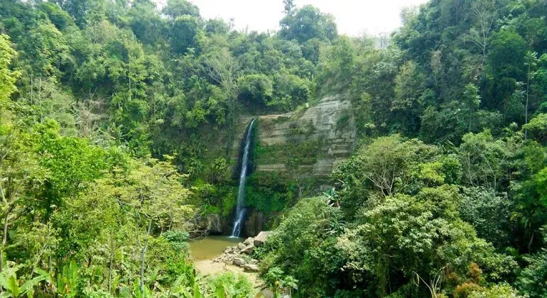 পাথারিয়া পাহাড় মৌলভীবাজার