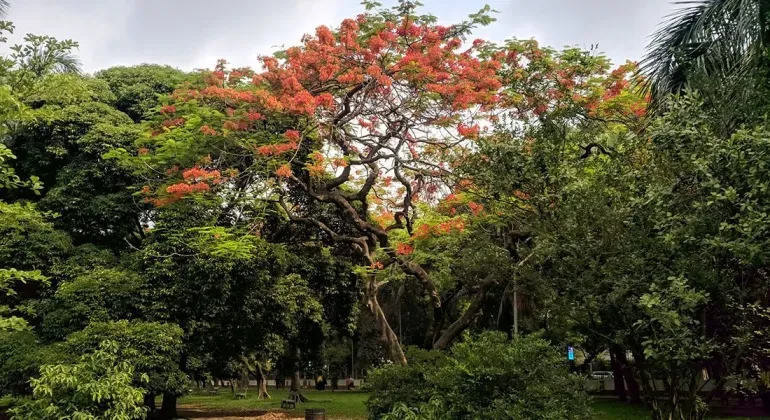 রমনা পার্ক ঢাকা