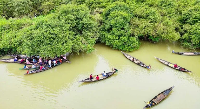 রাতারগুল সোয়াম্প ফরেস্ট