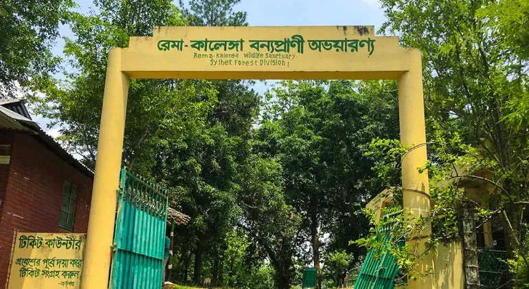 রেমা কালেঙ্গা সংরক্ষিত বন