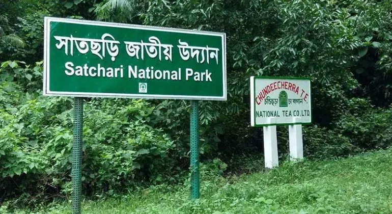 Satchari National Park Habiganj