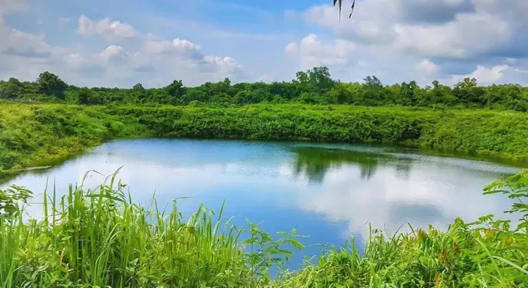 Shamsher Gazi Pond Feni