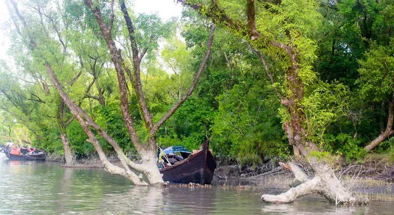 টেংরা গিরি ইকো পার্ক বরগুনা